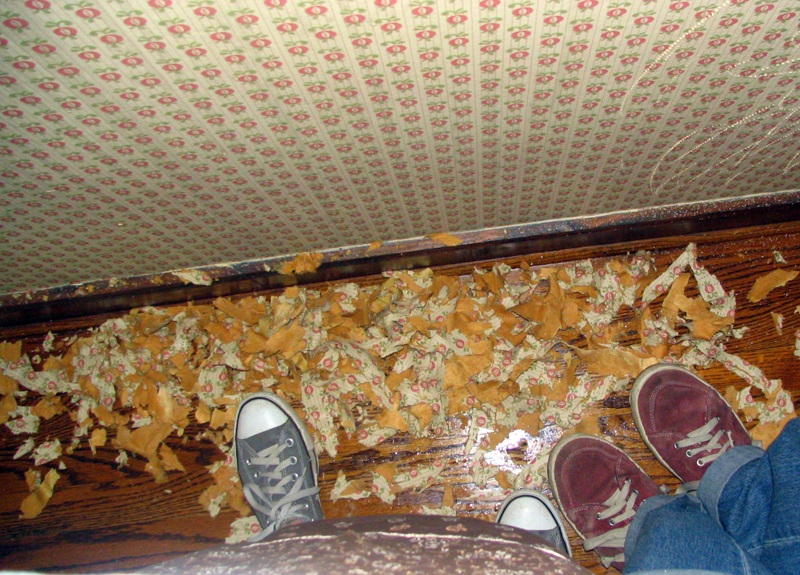 wallpaper removal. tried wallpaper removal,